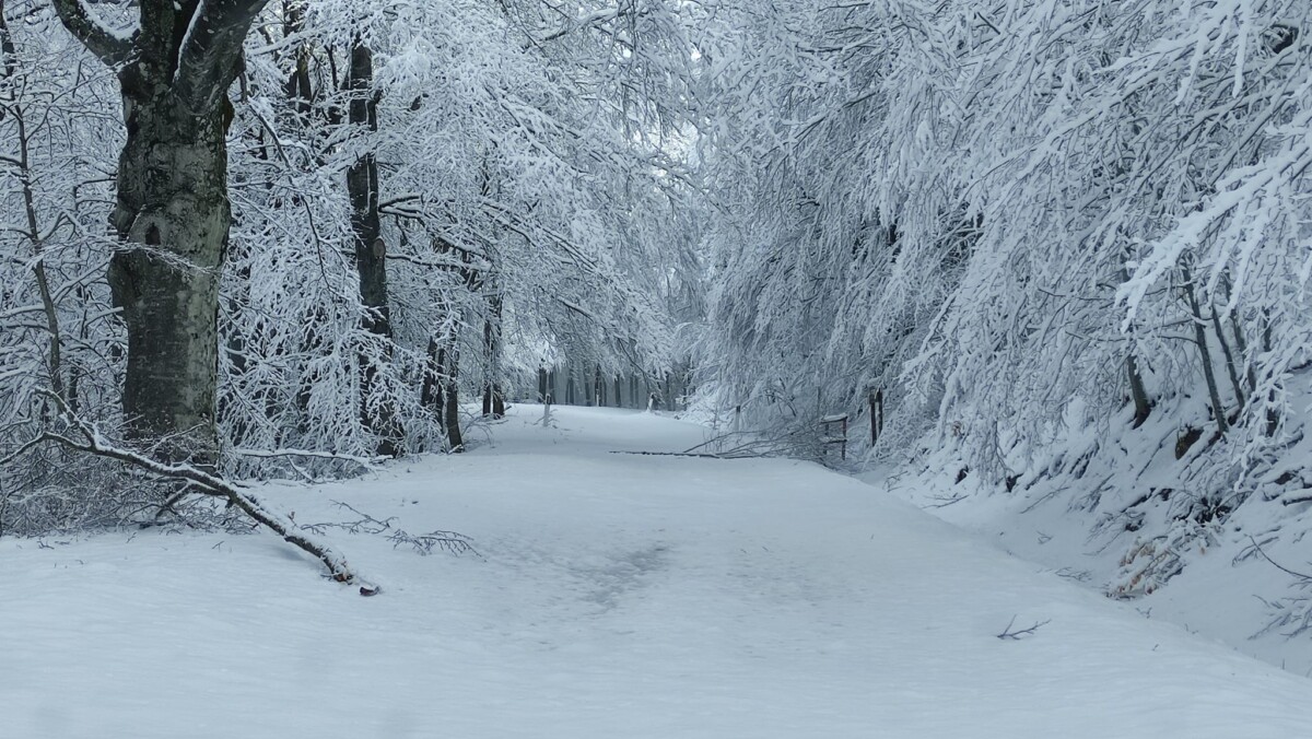 neve pratomagno toscana