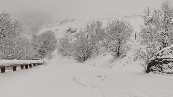 neve pratomagno toscana