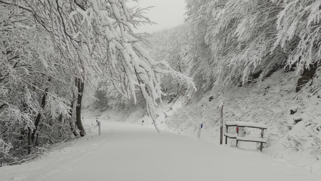 neve pratomagno toscana