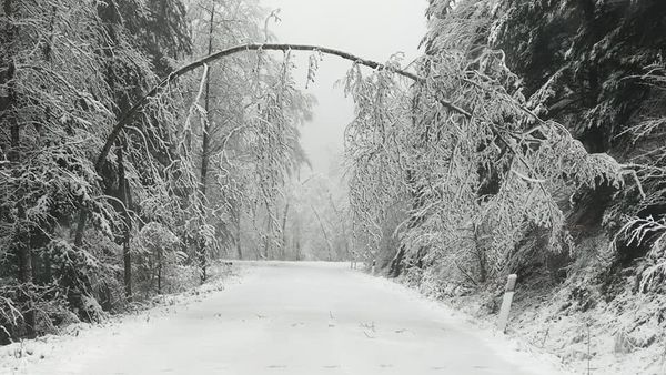 neve pratomagno toscana