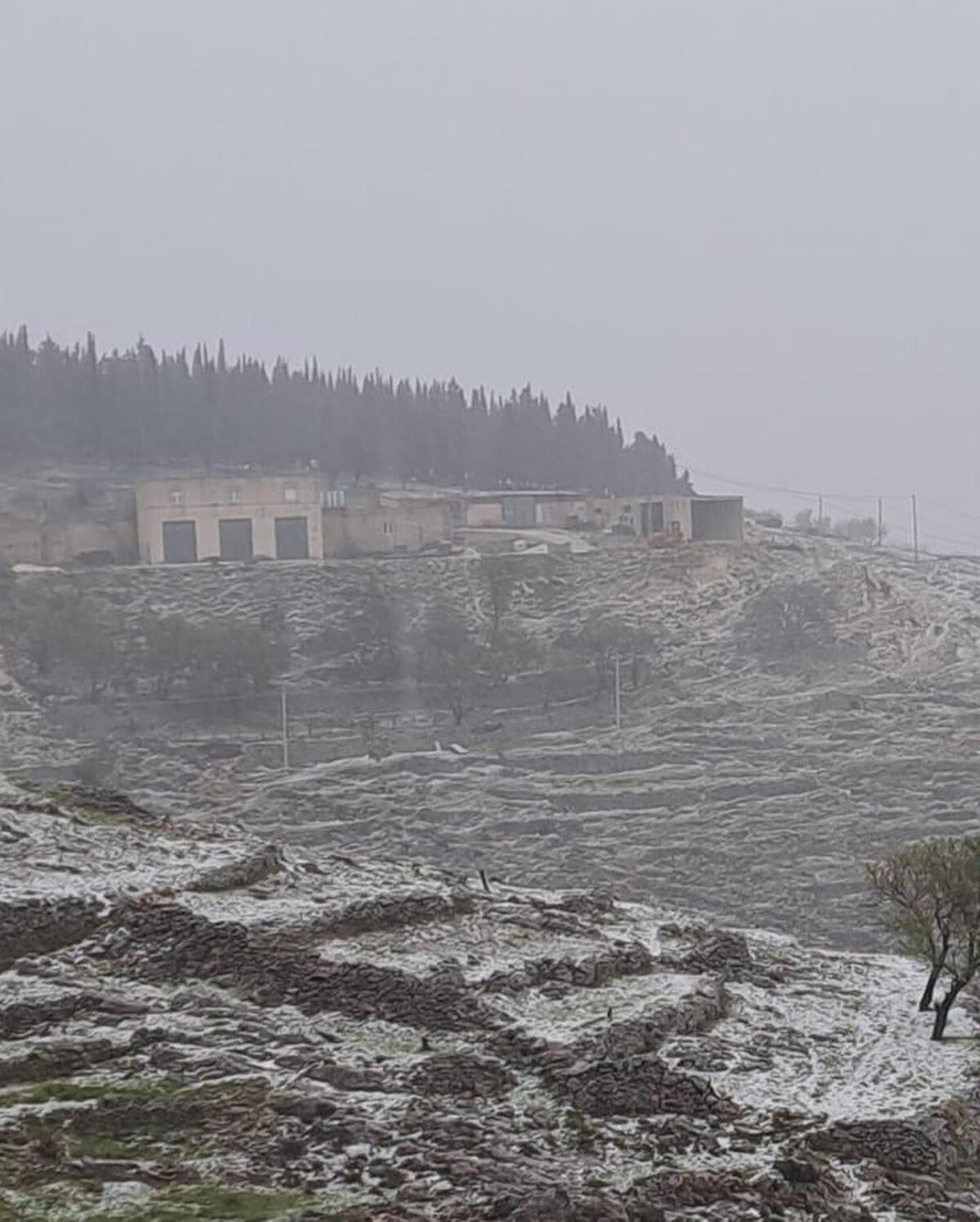 neve puglia monte sant'angelo