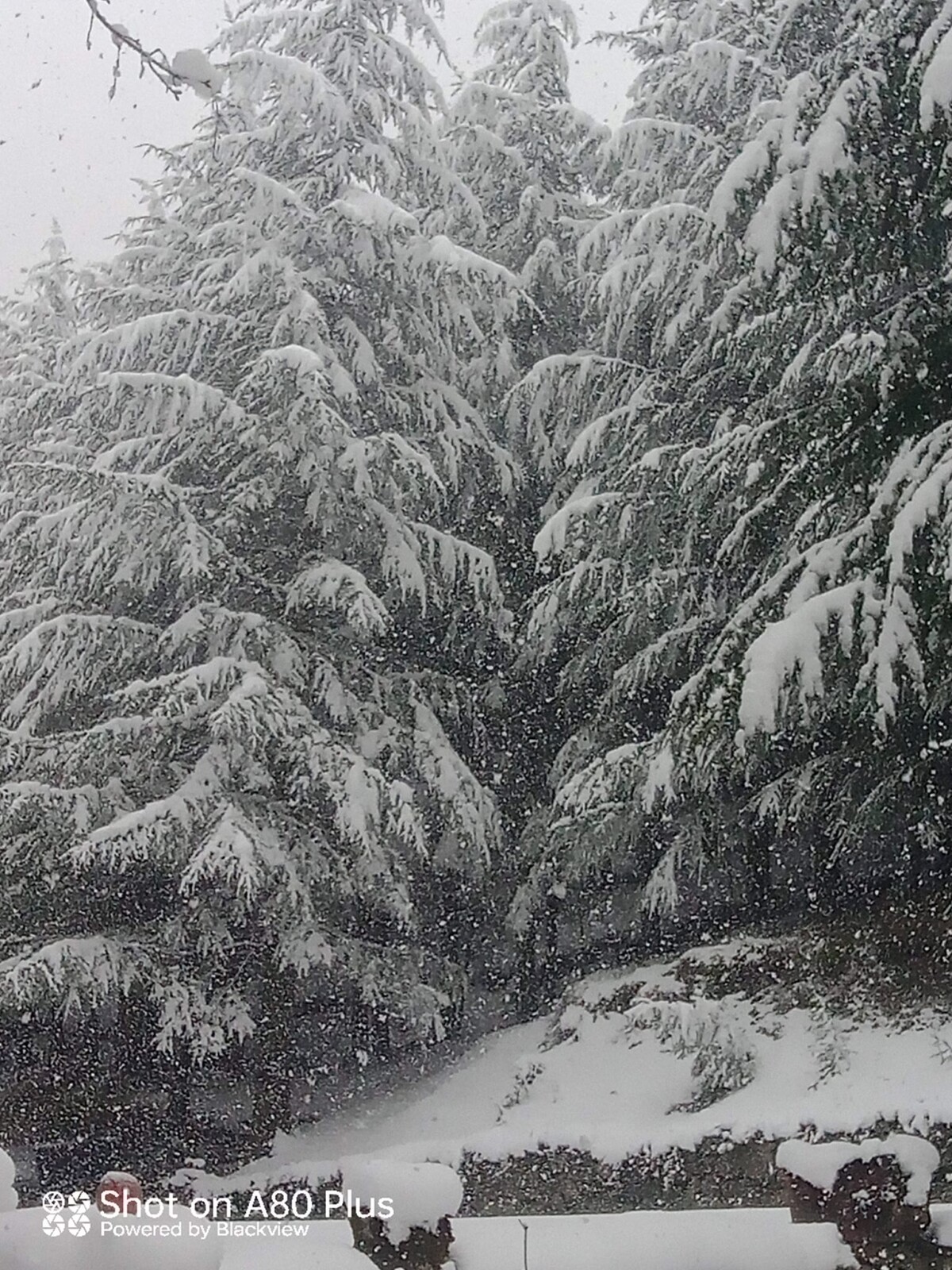 neve separadorgiu sardegna