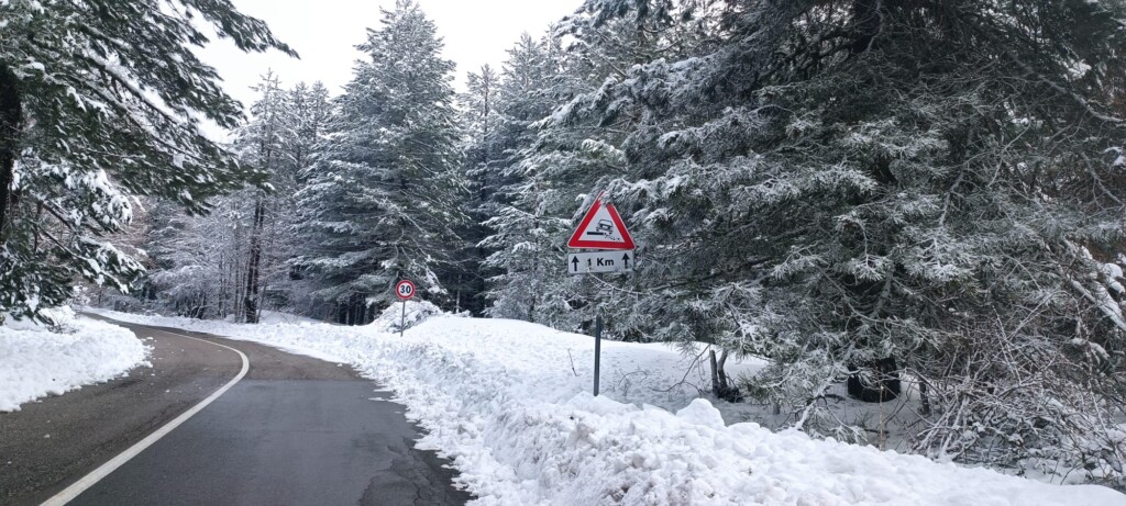 neve sila 5 aprile 2023