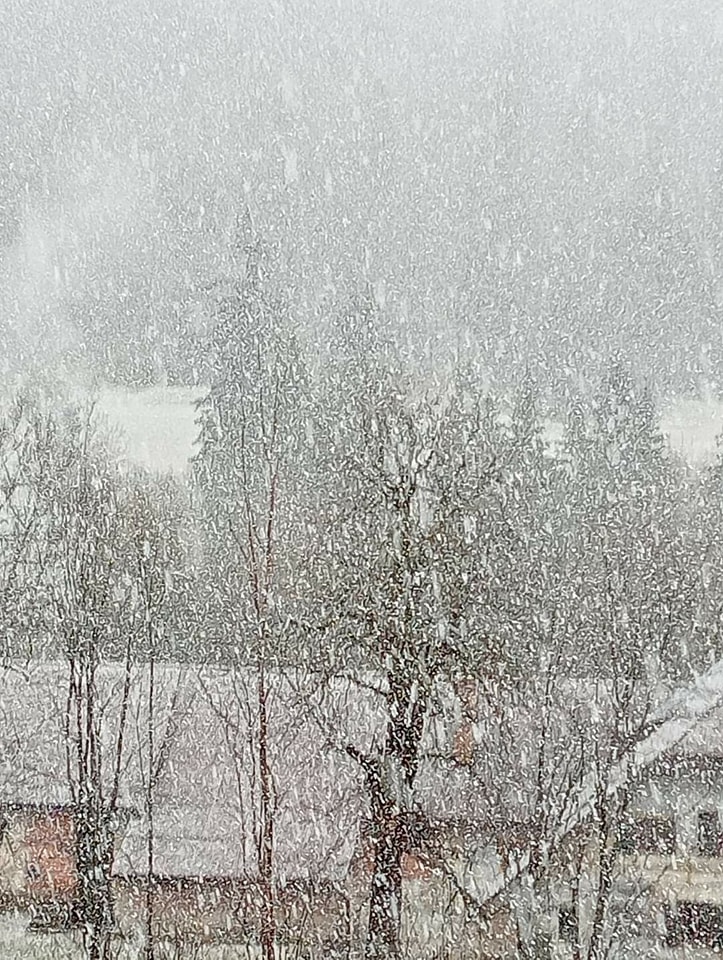 neve tarvisio friuli venezia giulia