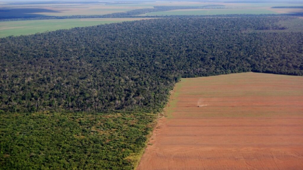 siccità in Amazzonia