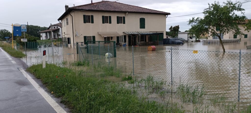 BOLOGNA ALLUVIONE