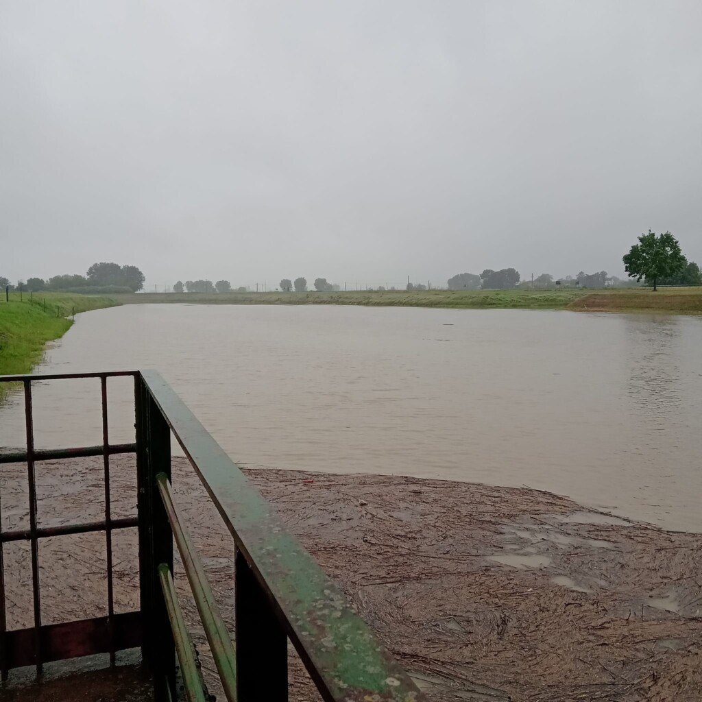 Canale delle Pilastresi emilia romagna