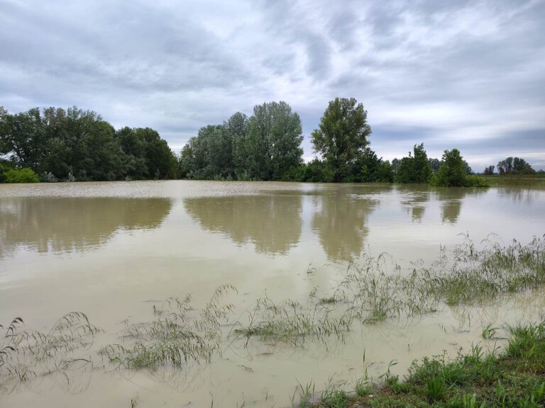 Tracimazione del fiume Lamone, zona Boncellino (Ravenna)