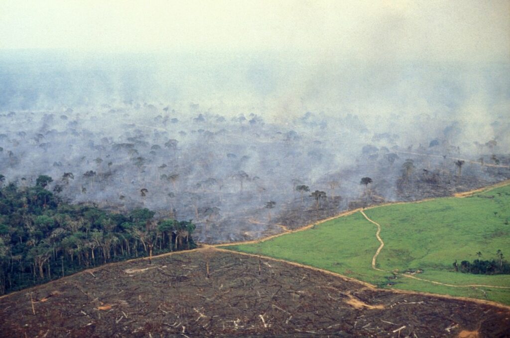 Amazzonia brasiliana