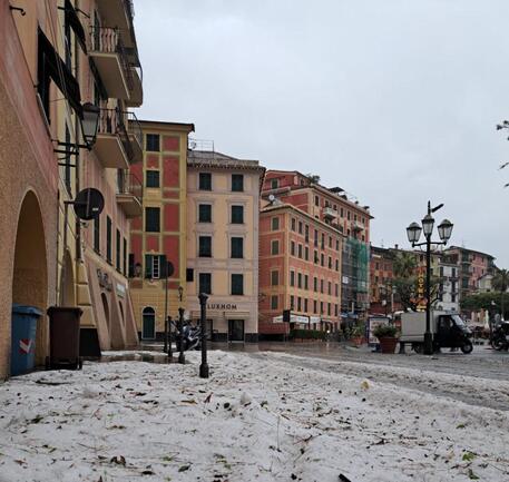 grandine santa margherita ligure