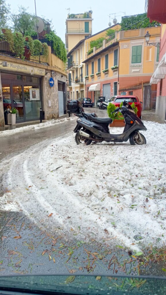 grandine santa margherita ligure