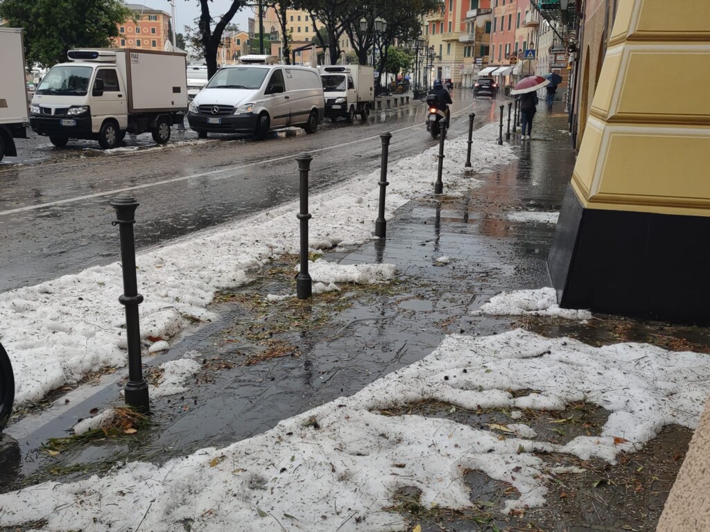 grandine santa margherita ligure