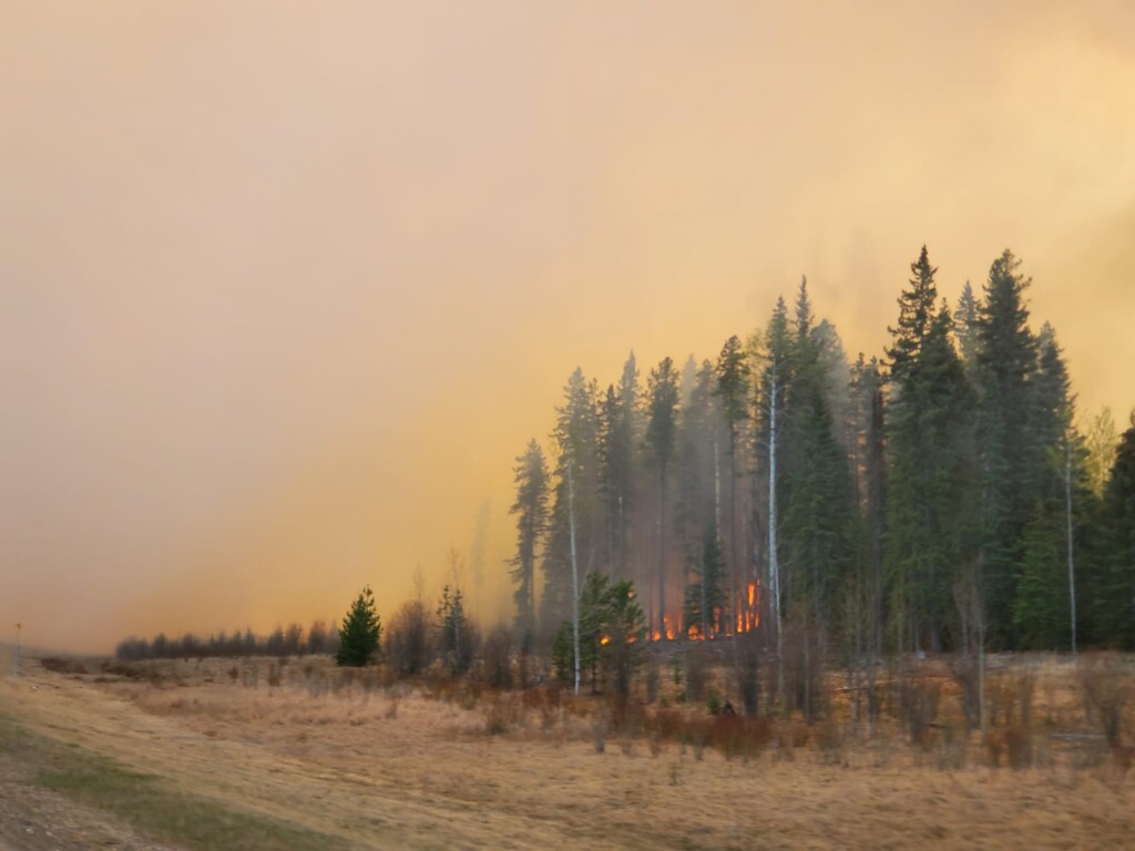 incendi alberta canada