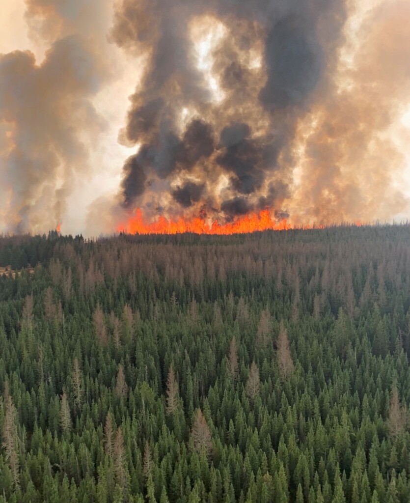 incendi alberta canada