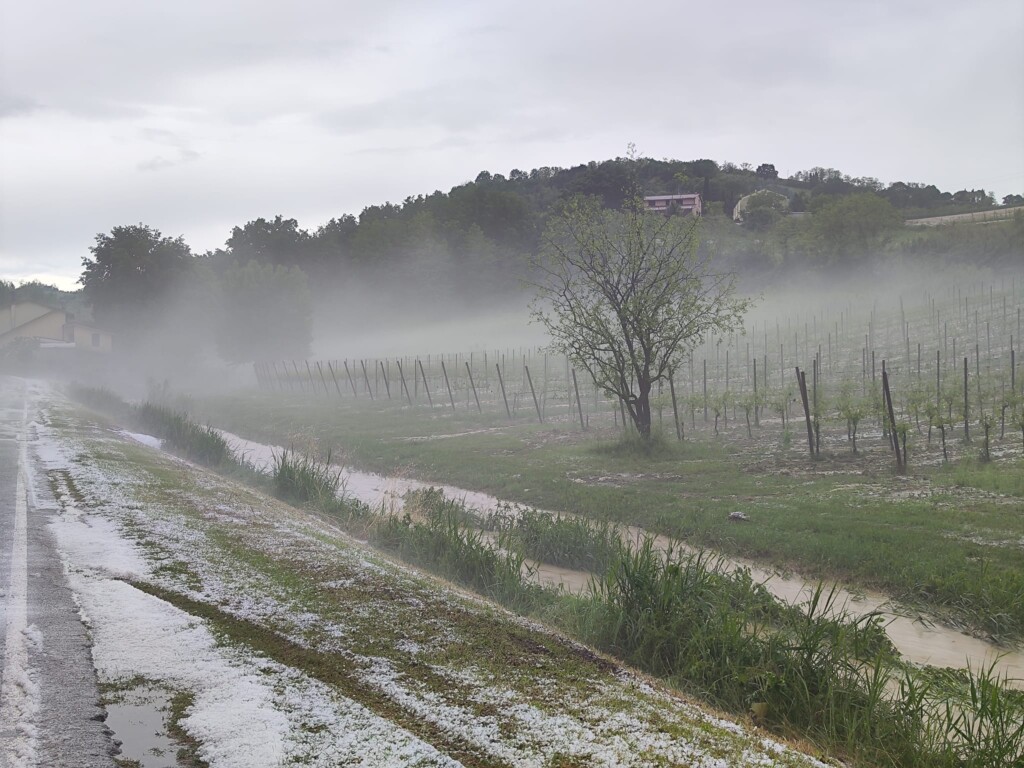 maltempo grandine bertinoro emilia romagna