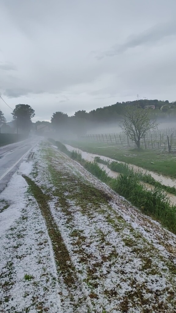 maltempo grandine bertinoro emilia romagna