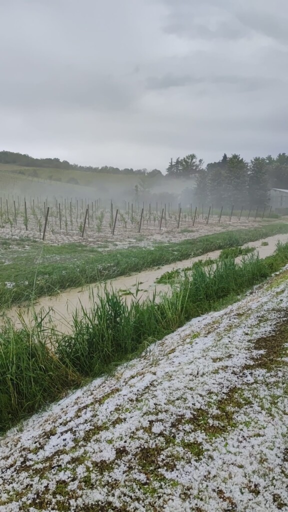 maltempo grandine bertinoro emilia romagna