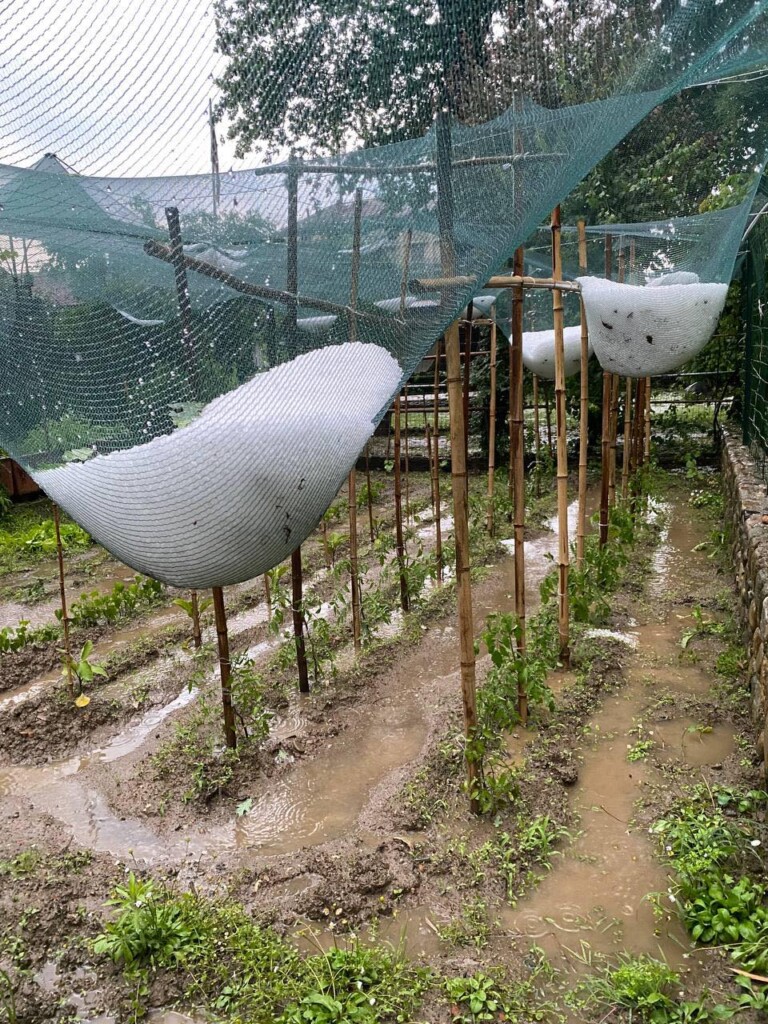 maltempo piemonte temporali grandine