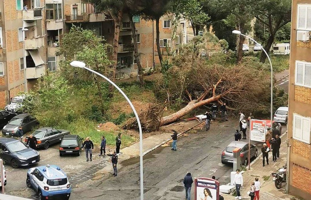 maltempo reggio calabria