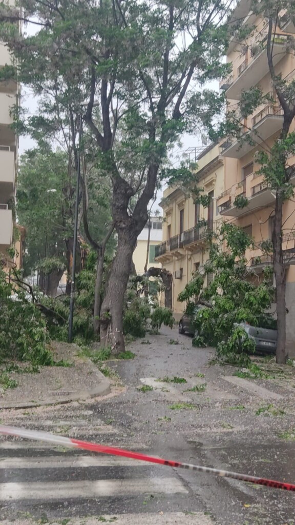 maltempo reggio calabria