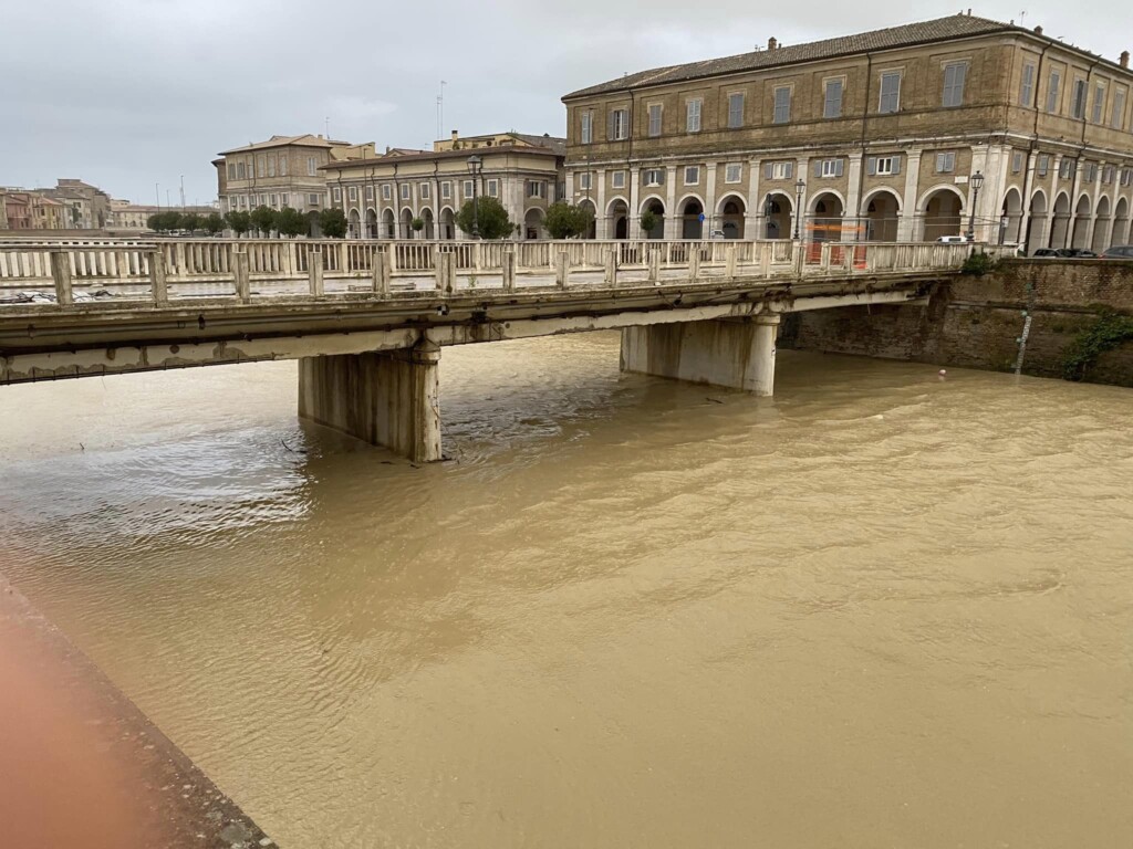 Senigallia