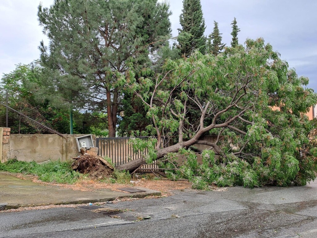 vento reggio calabria