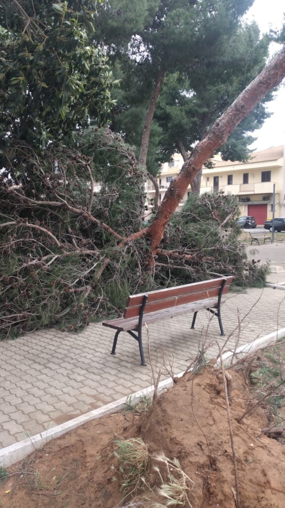 vento vittoria ragusa