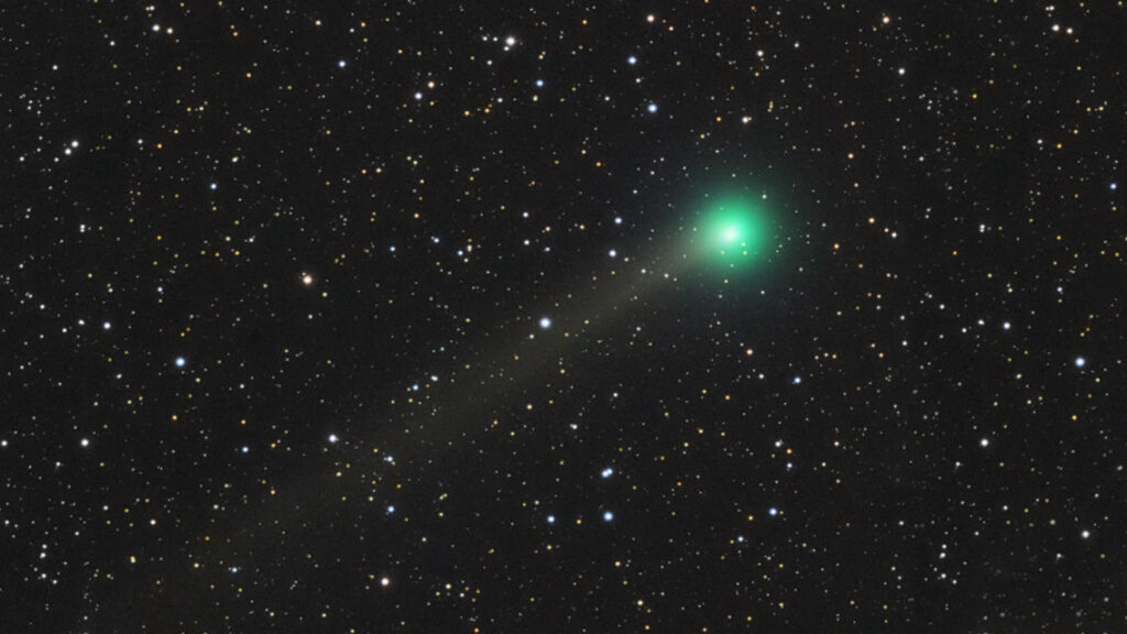 cometa lemmon