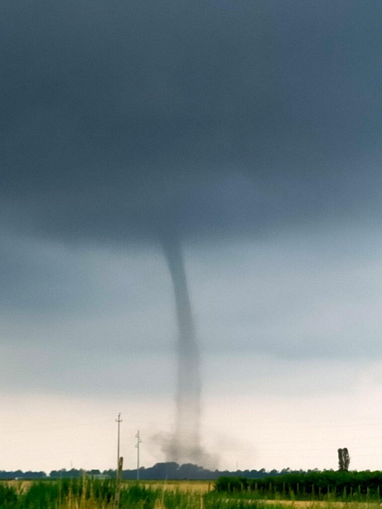 tornado bosco mesola