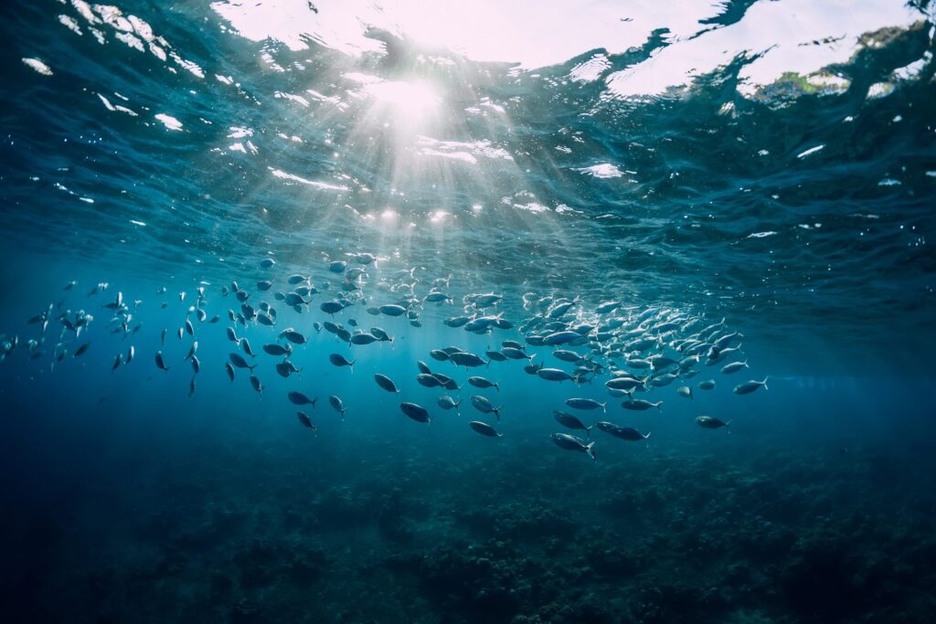 Giornata degli oceani