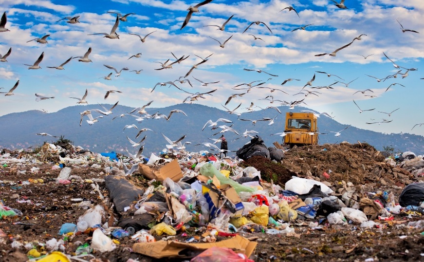 Giornata mondiale dell'Ambiente