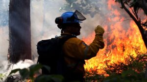 emergenza incendi In Canada