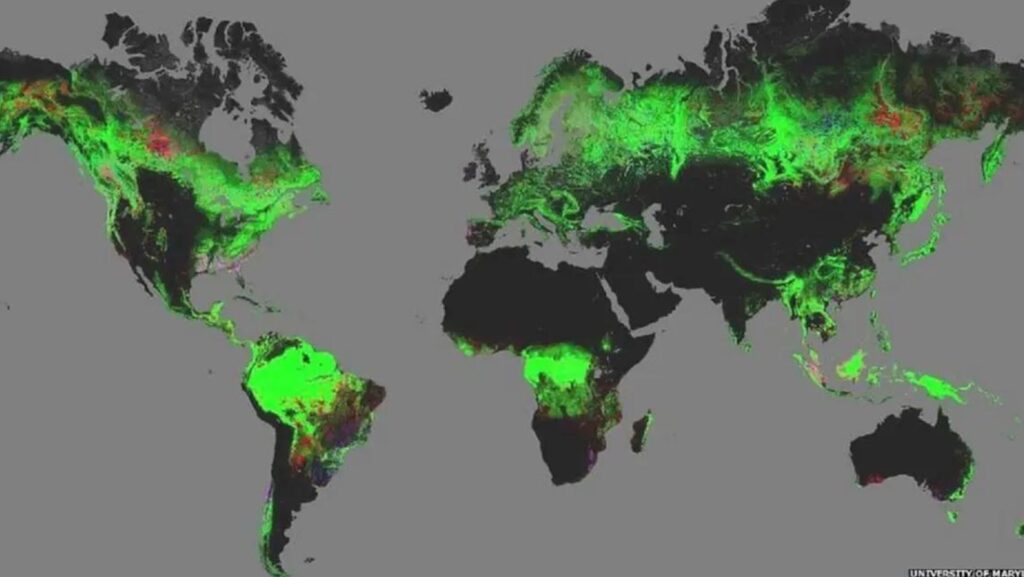 mappa globale della deforestazione