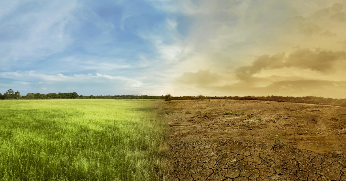 cambiamenti climatici