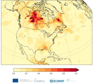 mappa incendi in Canada Copernicus