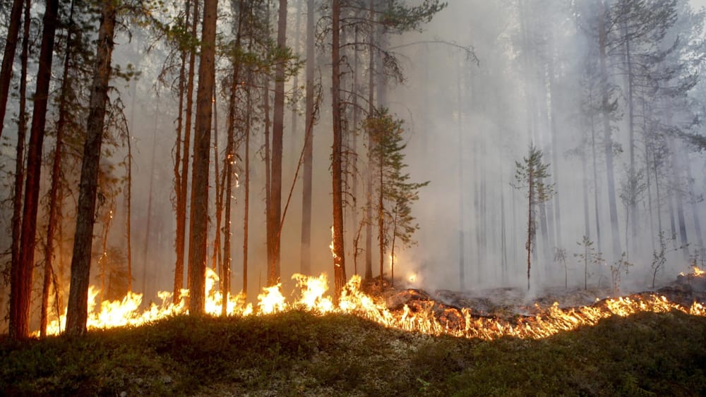 incendi in Svezia