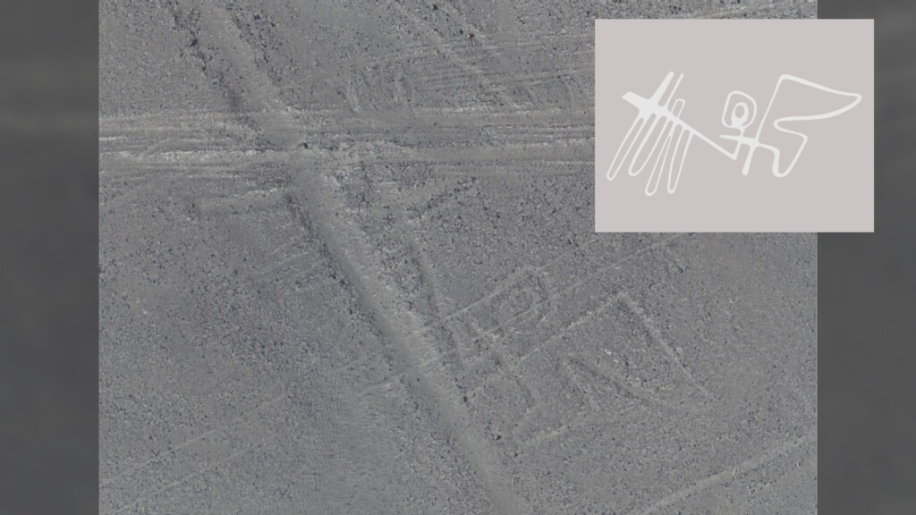 nuove scoperte linee di nazca