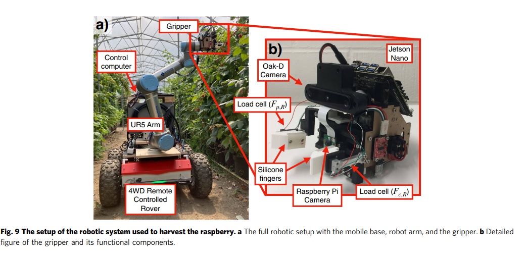 robot raccoglitore di lamponi