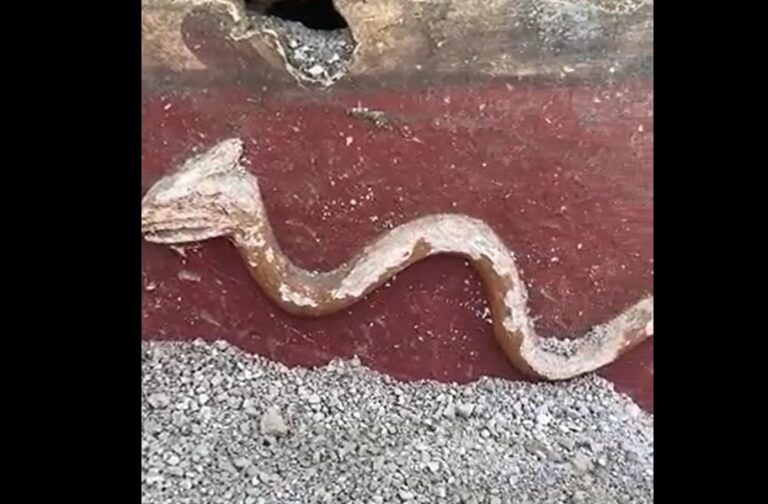 serpente scavi Pompei