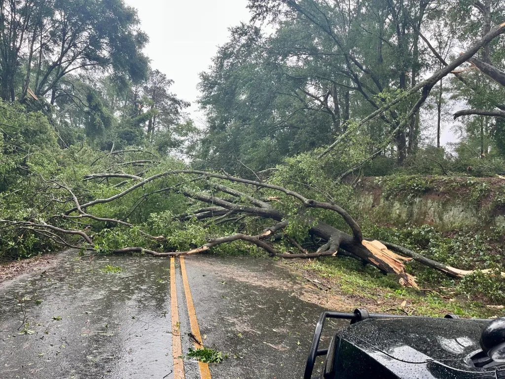 tornado alabama