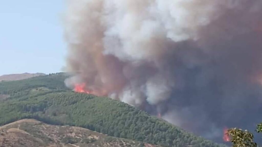 incendi nel Palermitano