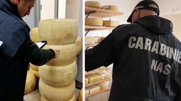 perlustrazioni NAS formaggio contaminato