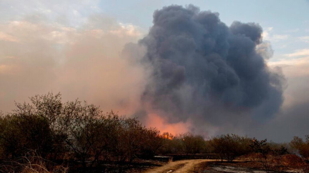 incendi in Grecia