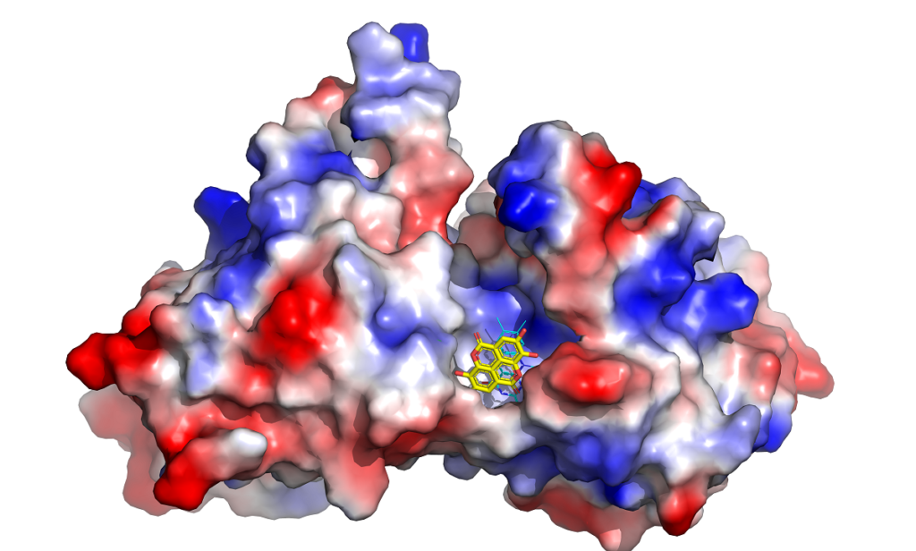 acido ellagico