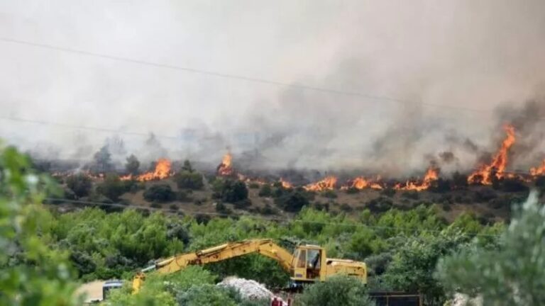 croazia incendio