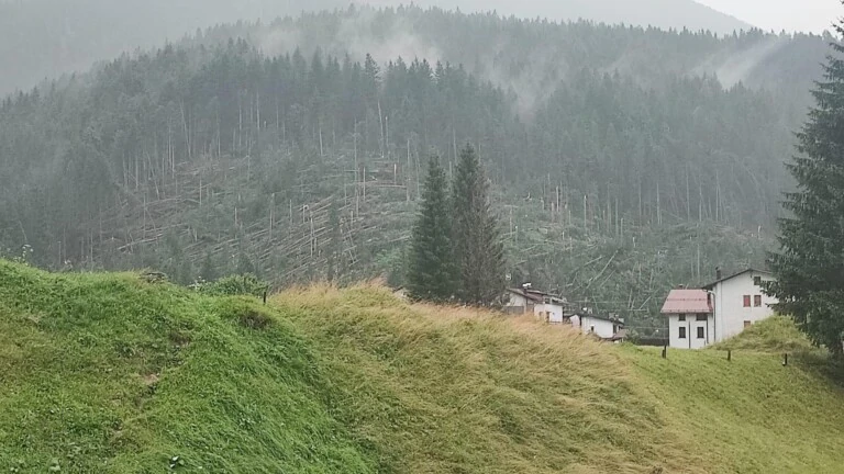 downburst cadore veneto 18 luglio 2023