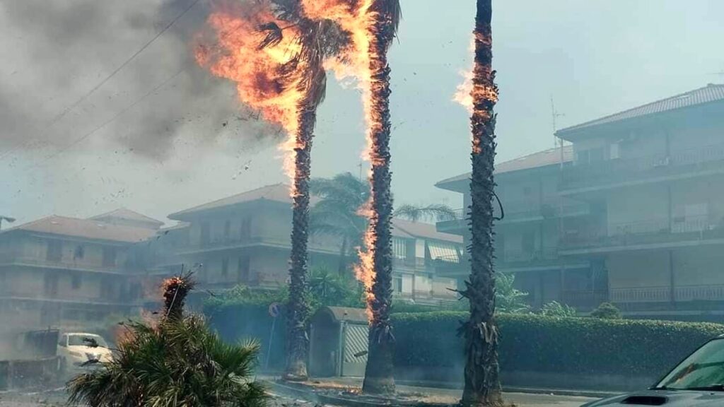 emergenza incendi a Catania e provincia4-2