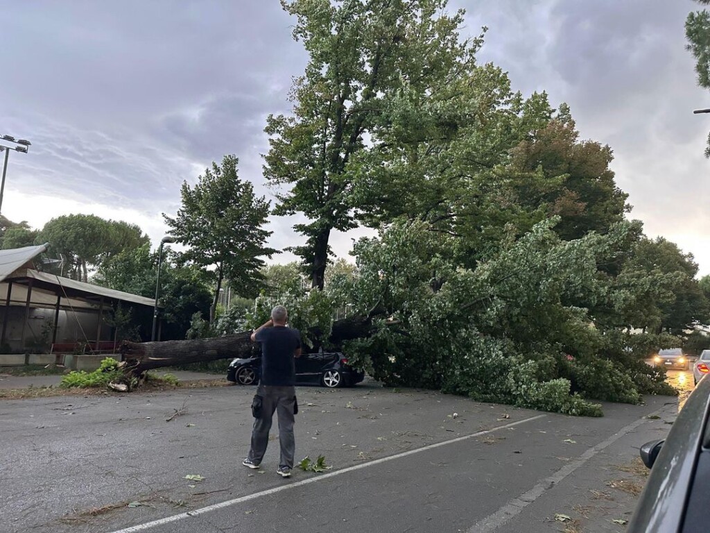 Maltempo, i danni a Faenza