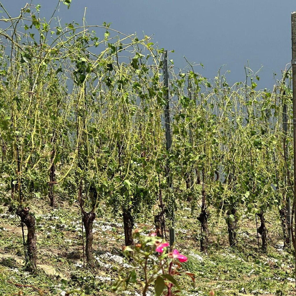 grandinata piemonte