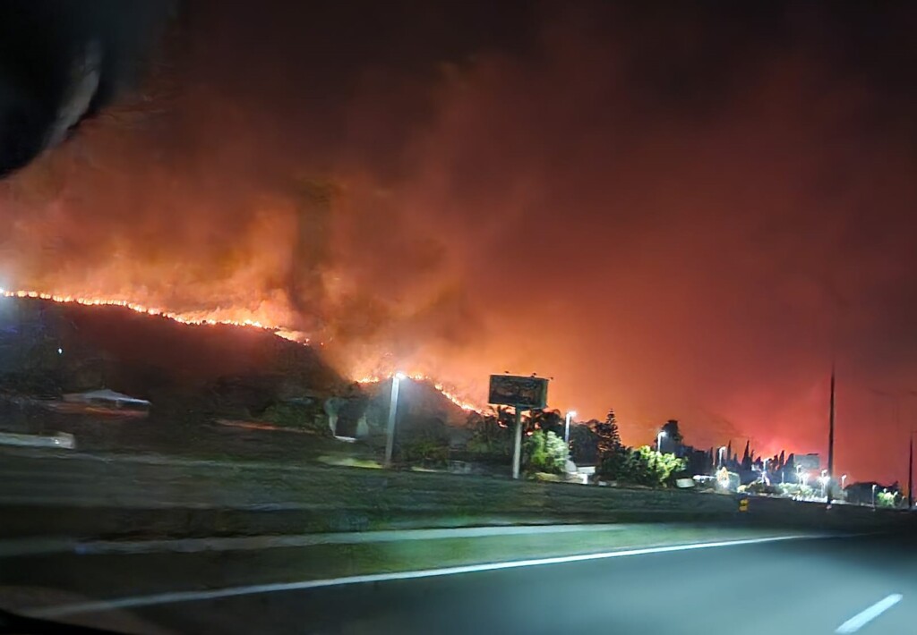 incendi Palermo